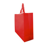 ECO SUPER BIG BAG 50x44x15x15cm 500 Piezas (Sin Impresión)