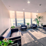 COB 3 Temperatura de color 20W 10 Piezas - Interled Mexico